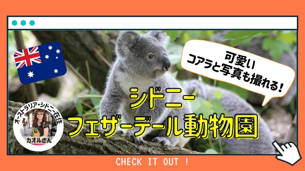 見てわかる小動物の外科手技 マイナーサージェリー 見てわかる小動物の