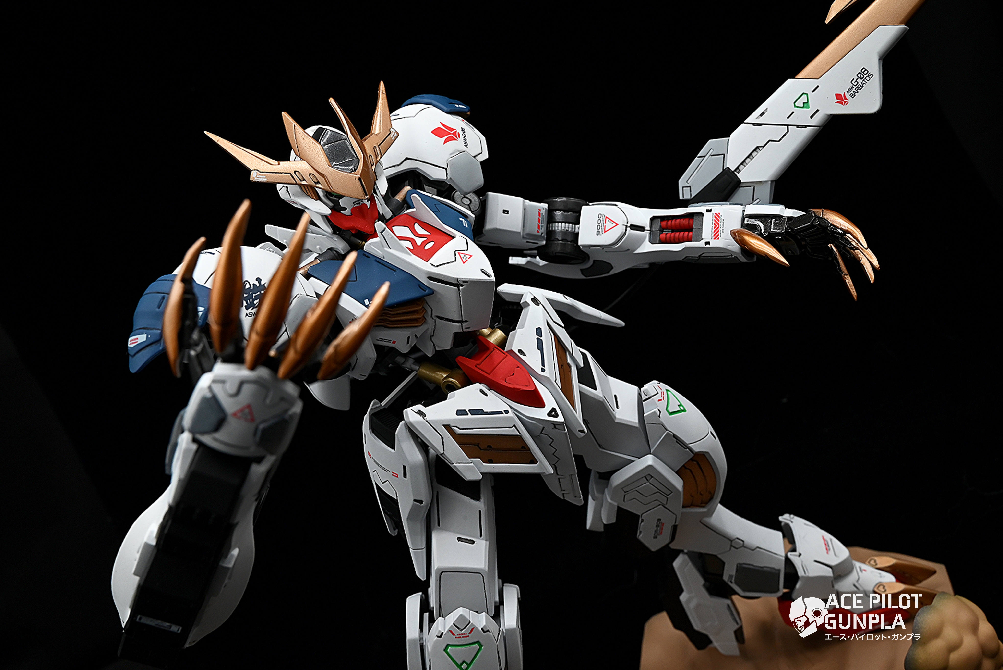 BARBATOS LUPUS REX