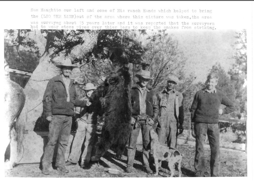 When Lions Fly | American Heritage Center (AHC) #AlwaysArchiving