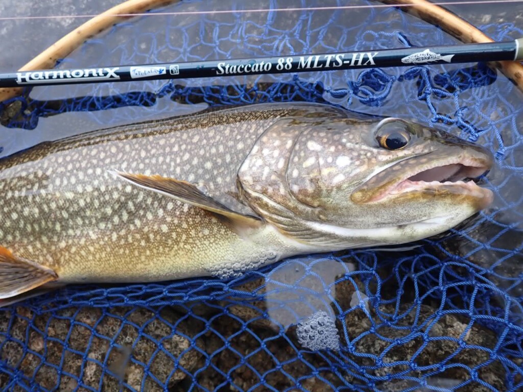 林を歩き、魚と出会う “歩く”ためのレングス】郷愁を誘う最新ロッド