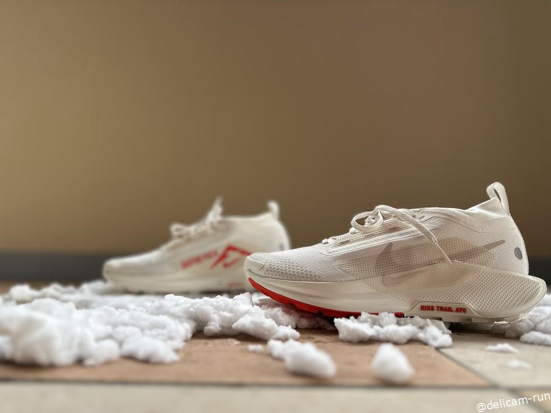 ナイキ ペガサストレイル5ゴアテックスレビュー！雪道ランニングでの