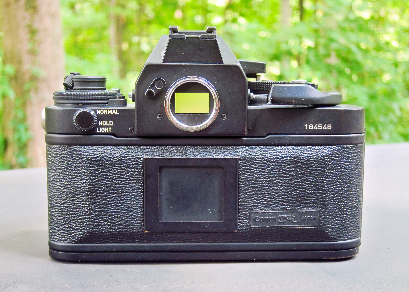 Canon New F-1 - Down the Road