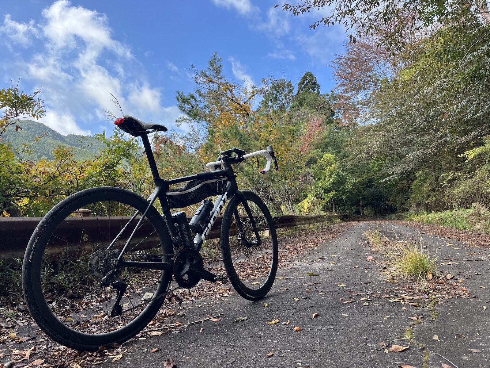 カスタムオーダーフレームバッグのリサイズ【WANDERLUST BLADE