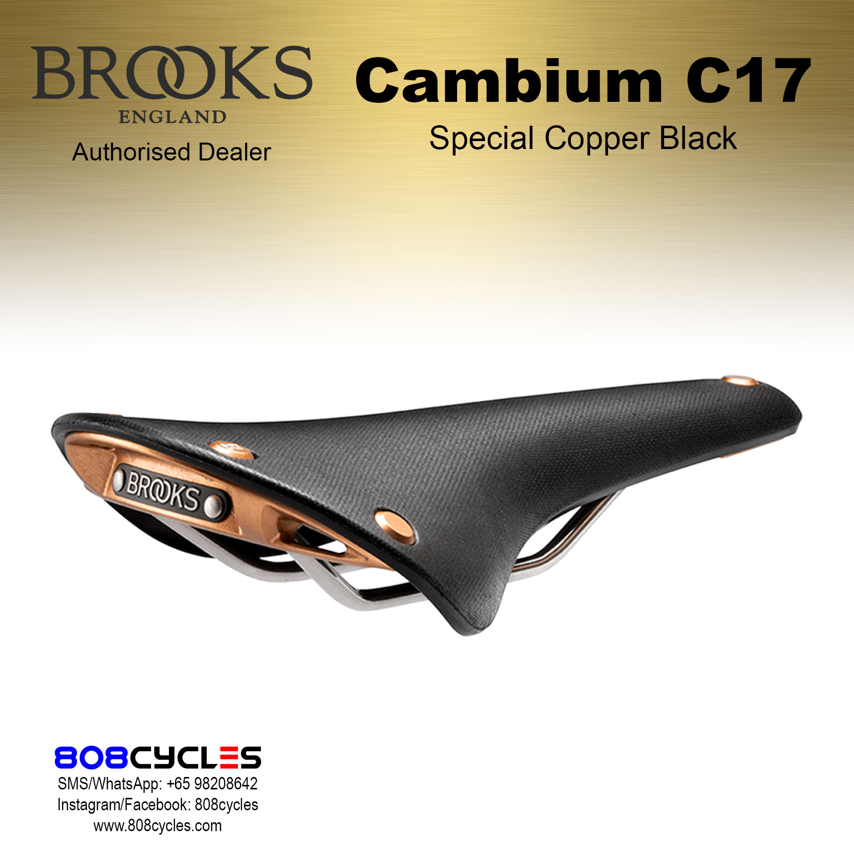 Brooks_C17-SpecialBlackCopper-