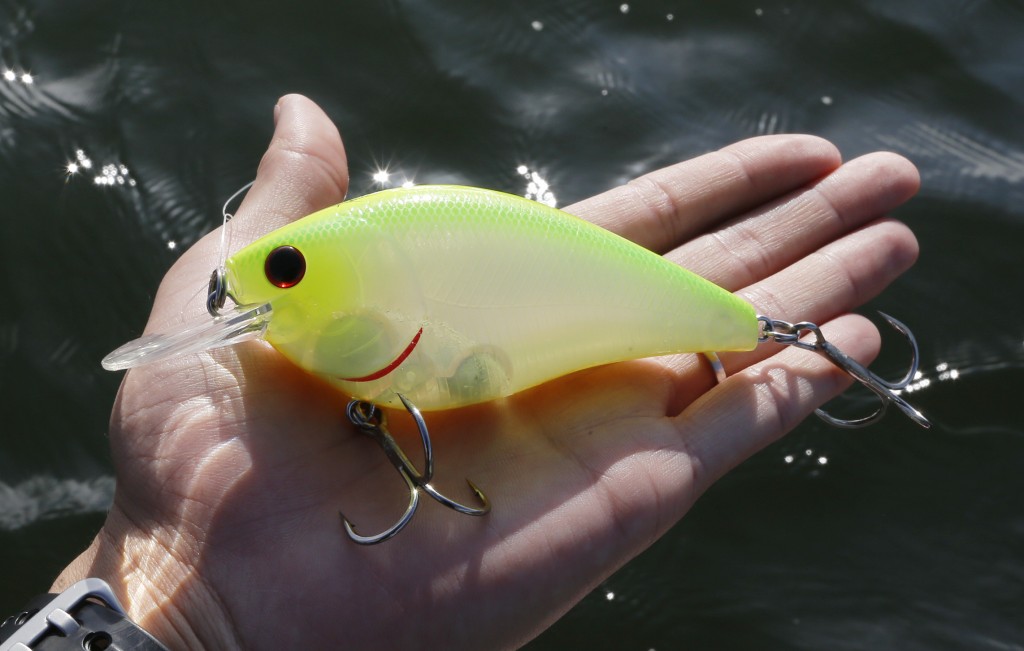 ビッグクランク】琵琶湖ガイド宮廣祥大がSKTマグナム110MRで釣りマクる