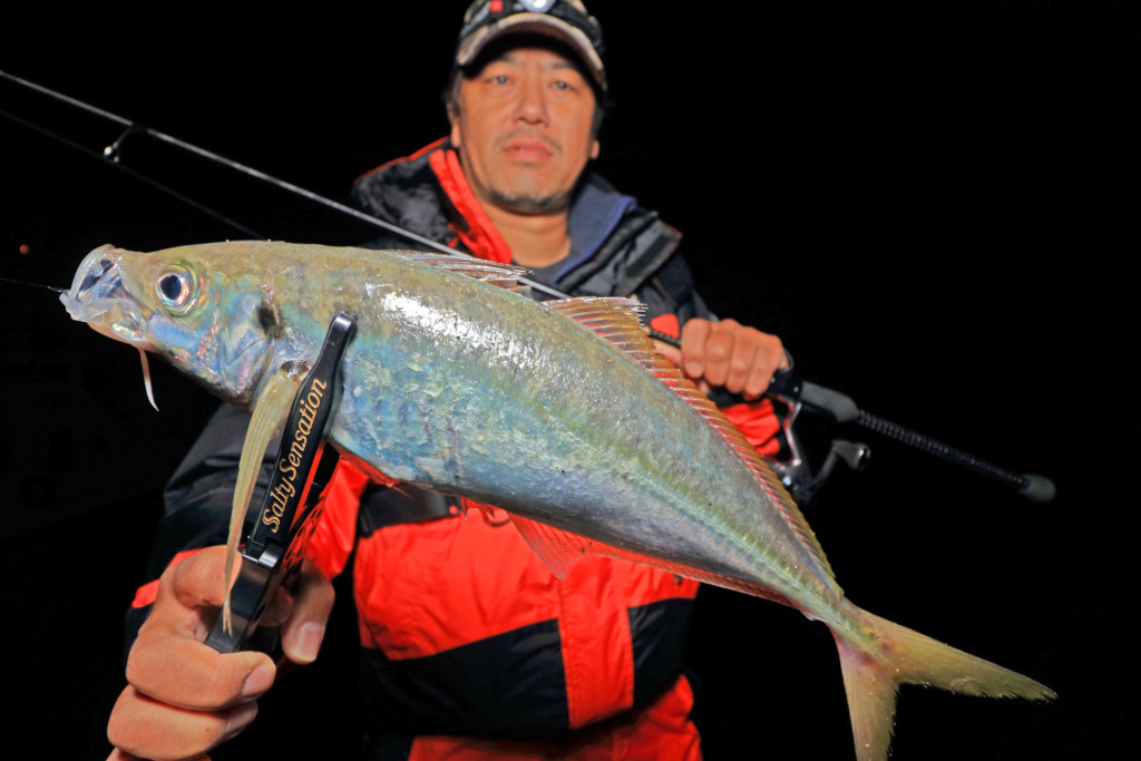 スペリオル・スーパーDアタッカー】キャロやフロート系など10gを超える