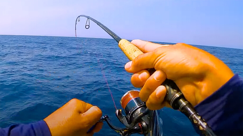 1本のロッドでココまでやる!?】人気のライトオフショアゲームをまるっ