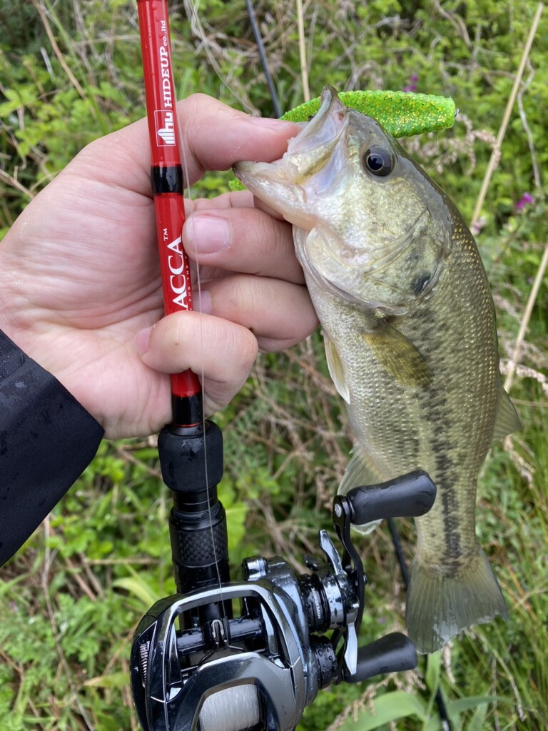 MACCA（マッカ）の全てが丸わかり！】ハイドアップのロッドすべてを