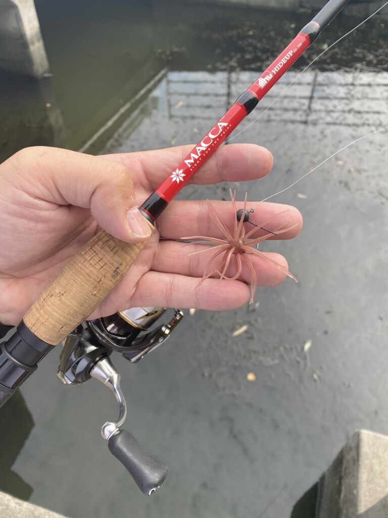 MACCA（マッカ）の全てが丸わかり！】ハイドアップのロッドすべてを