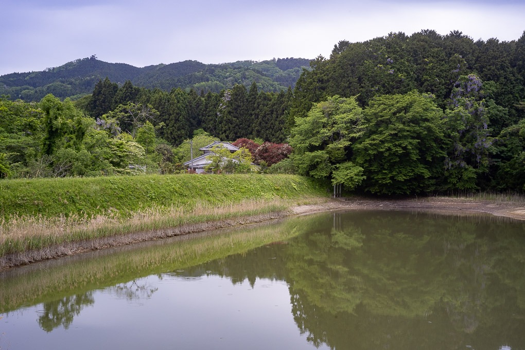 Retina-Ysarex 50mm F2.8 - 写真備忘録