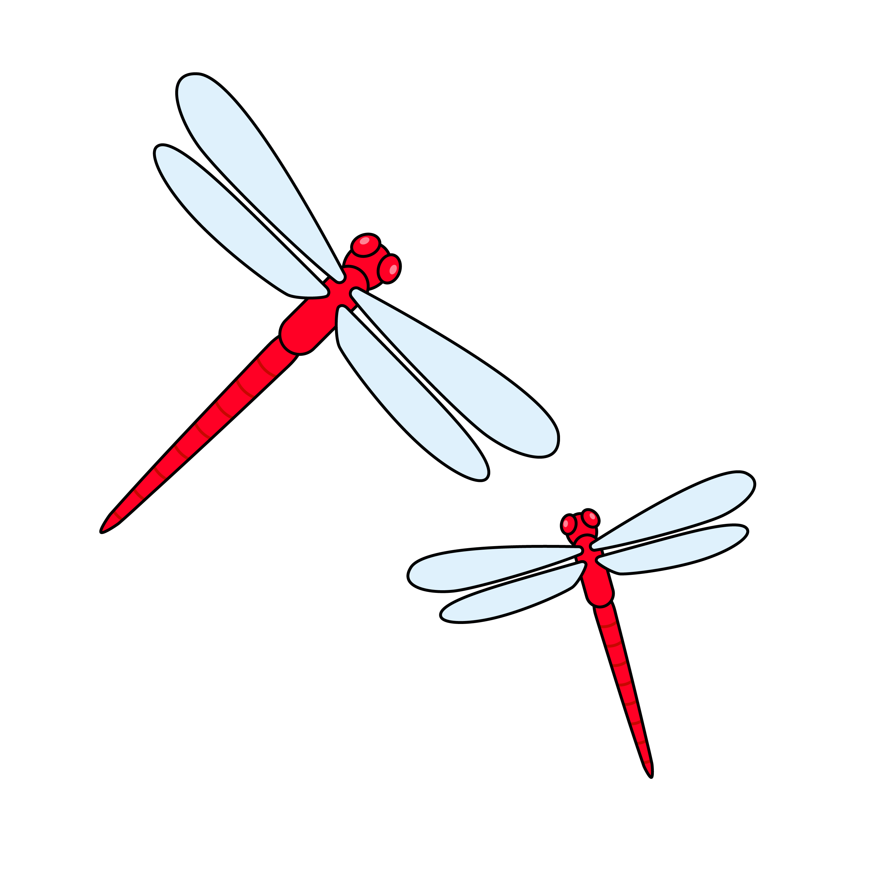 red-dragonfly_color.png