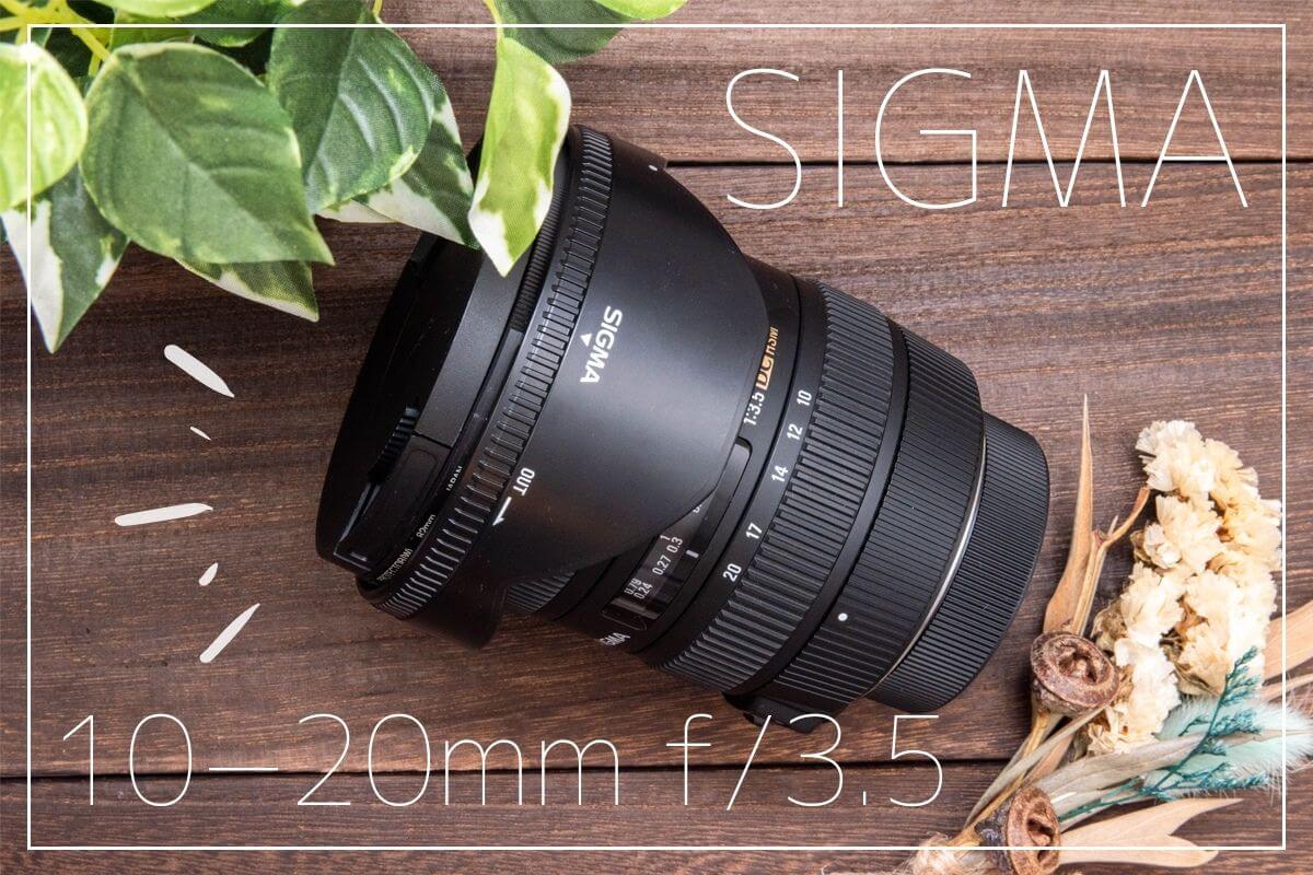 実機レビュー】SIGMA(シグマ) 10-20mmをNIKON D5600で試してみた【作例