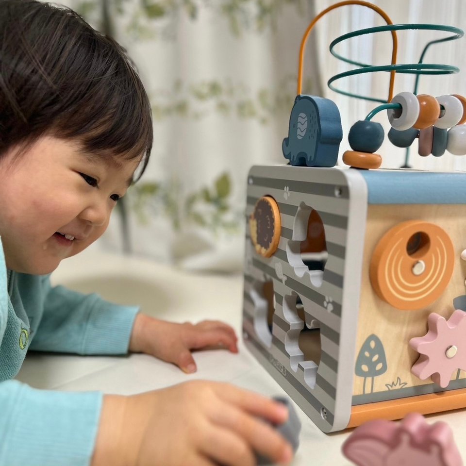 アクティビティボックス: おもちゃ[DADWAY ダッドウェイオンラインストア]