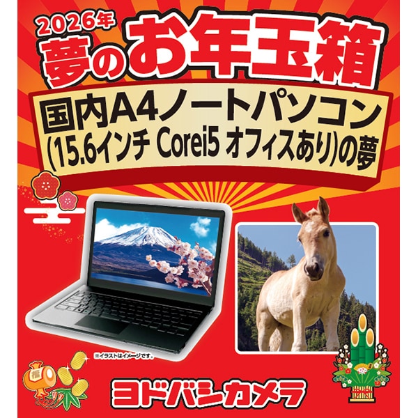 ヨドバシ福袋「夢のお年玉箱2026 国内A4ノートパソコン（15.6インチ