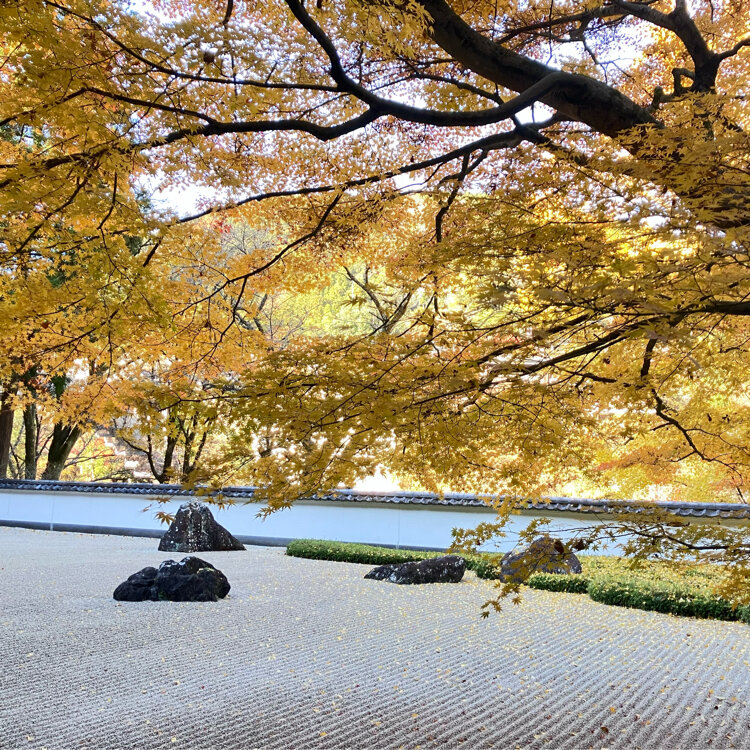 玉堂美術館 - （東京都）の詳細情報 ｜ ことりっぷ