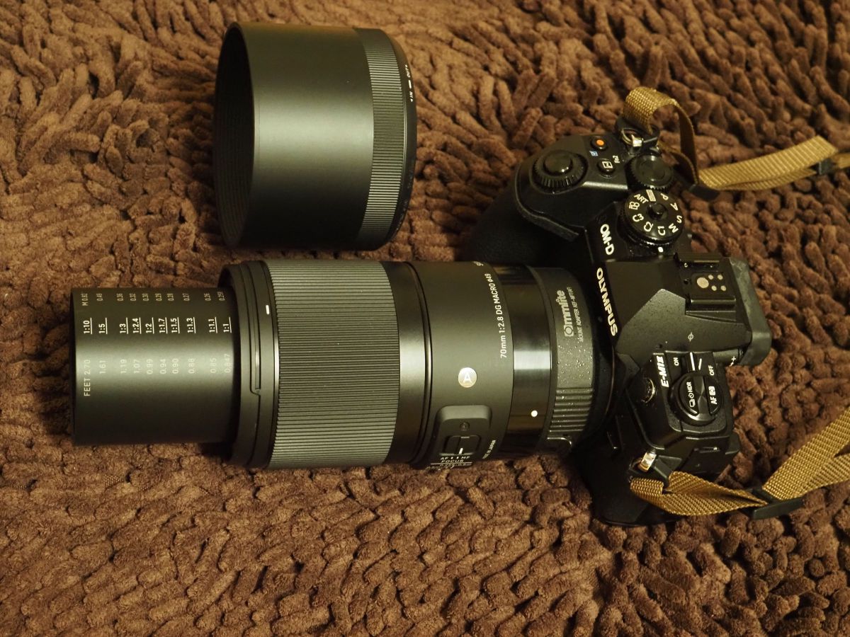SIGMA 70mm F2.8 DG MACRO | Art 雑感 | GANREF