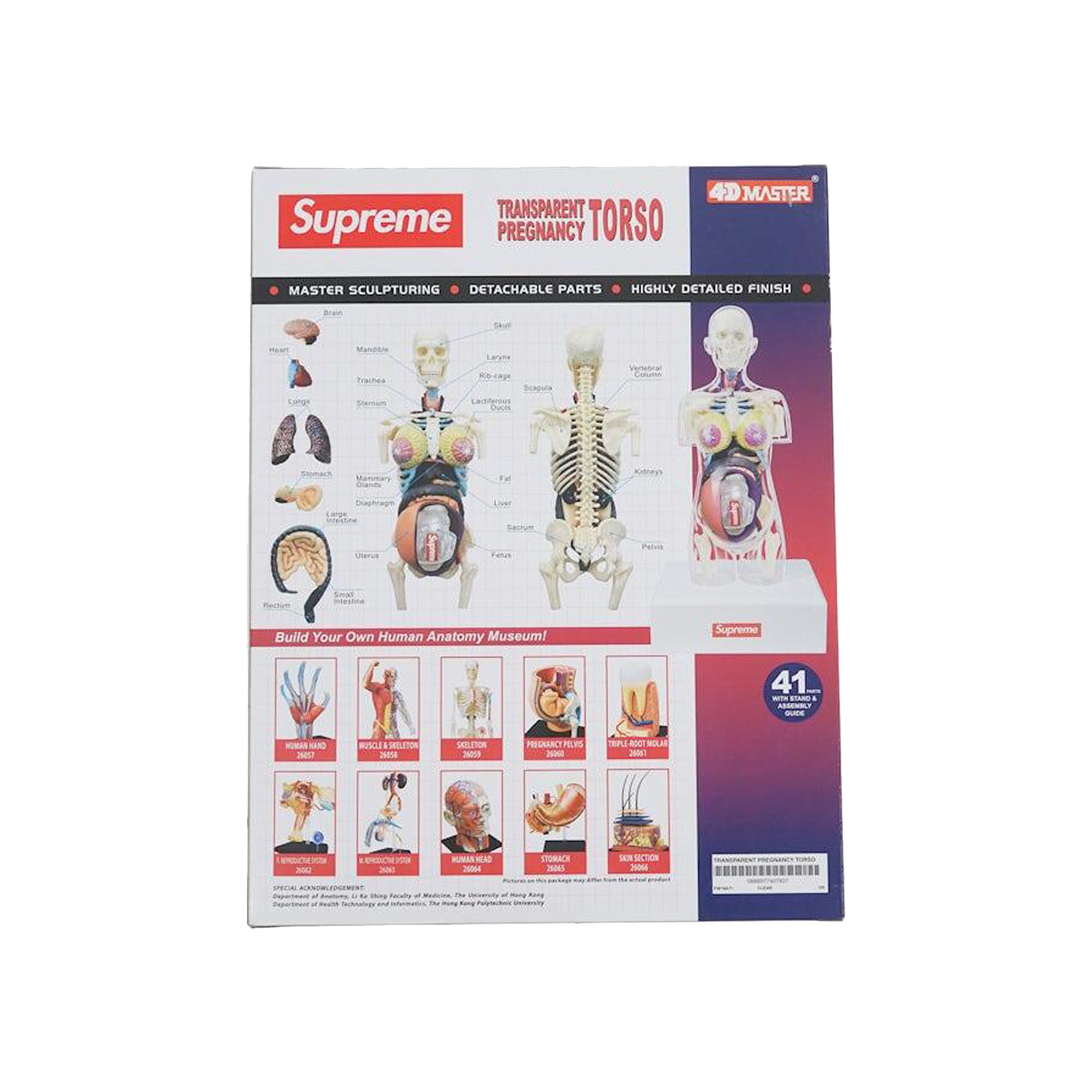 Buy Supreme Female Anatomy Model 'Clear' - FW18A71 CLEAR | GOAT