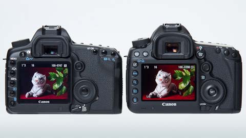 高速化した中級フルサイズ機――キヤノン「EOS 5D Mark III
