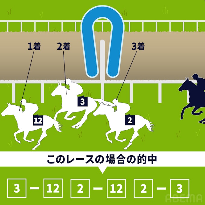 初心者向け馬券の種類（単勝・三連単など）や買い方について解説！