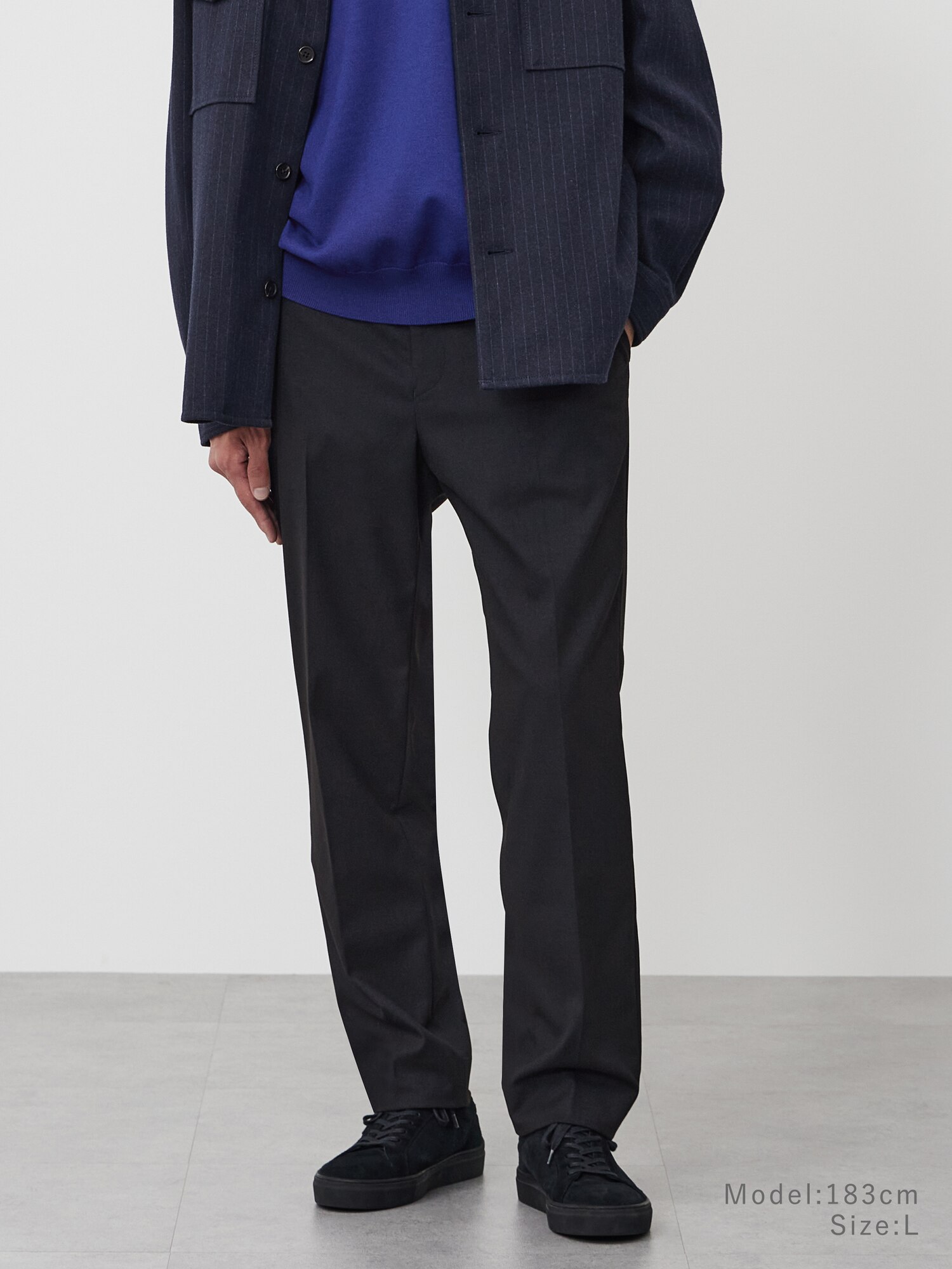 PLST(プラステ)公式 | メンズのスーツ (パンツ)