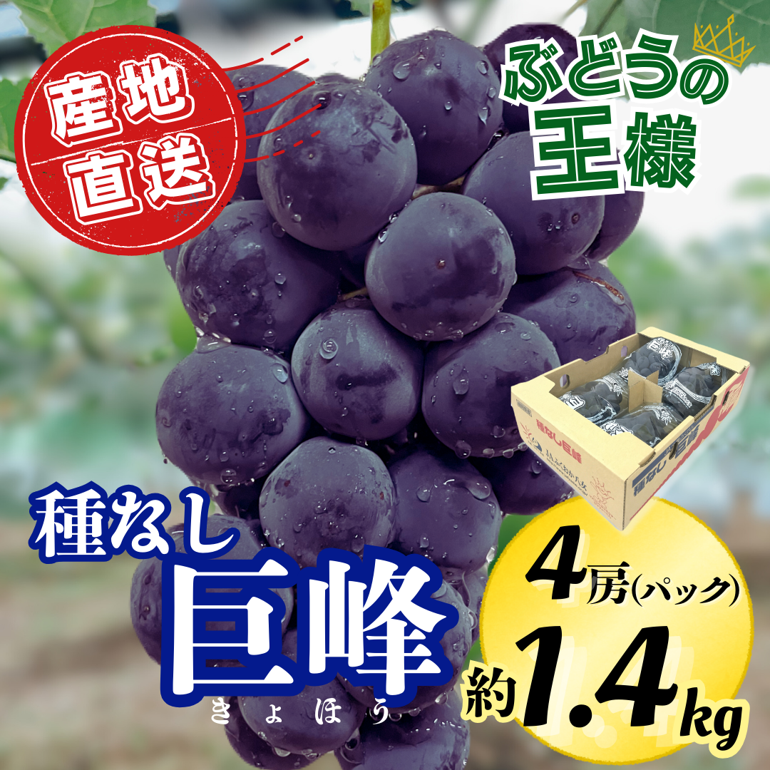 味わい深い【種なし巨峰】 1.4kg（4パック入） | 農産物直売所どろや