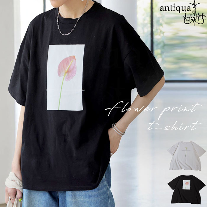 花柄プリントTシャツ レディース 半袖 トップス 綿100・(80)メール便可