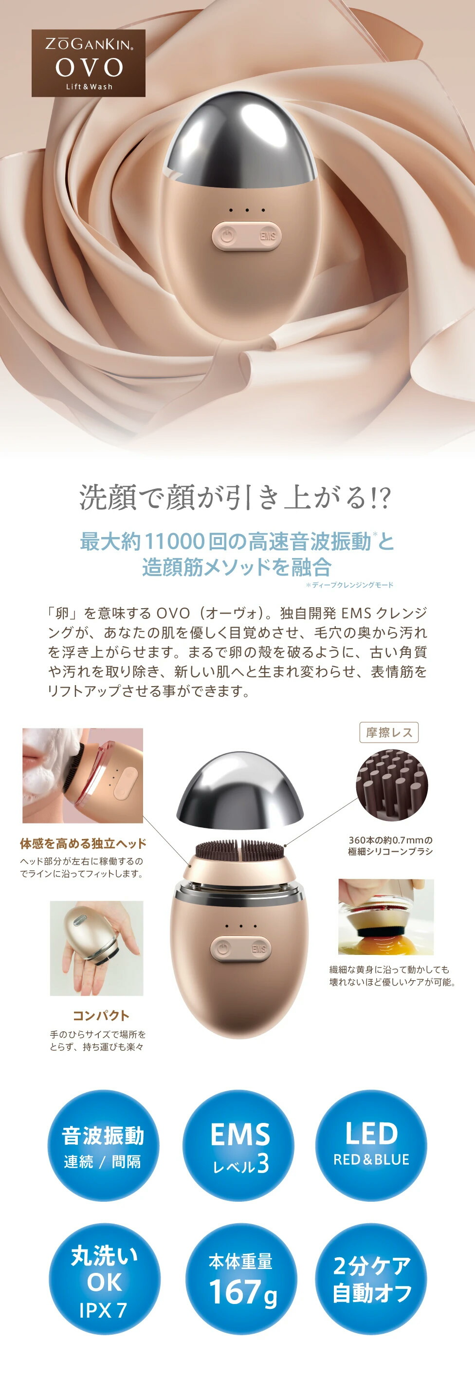楽天市場】ZOGANKIN OVO CL-ZKO Lift & Wash ゾーガンキンオーヴォ