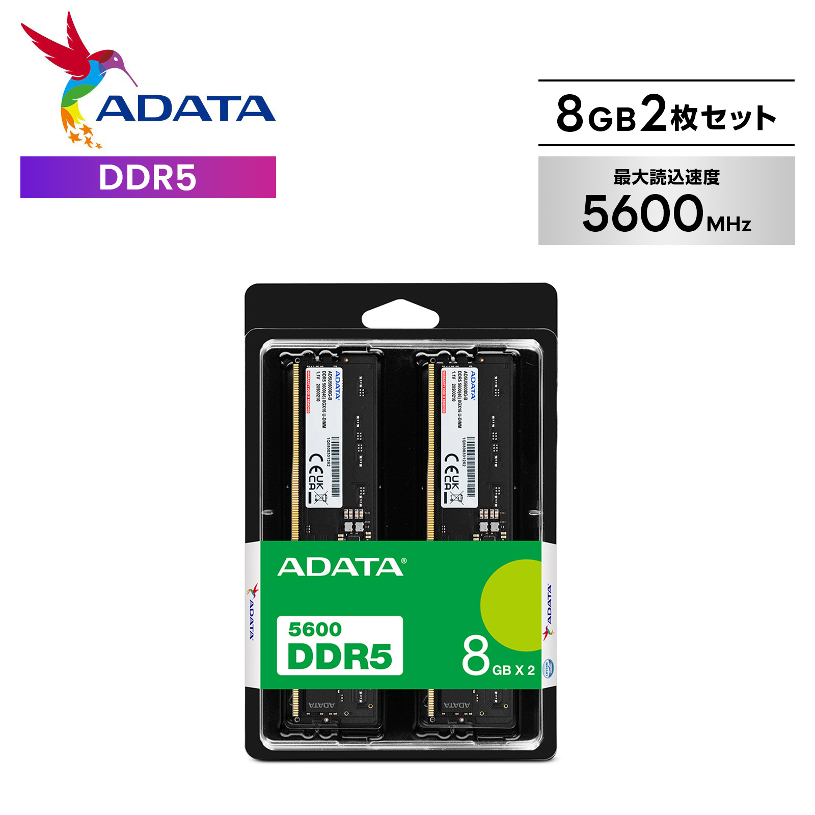 楽天市場】エイデータ DDR5-4800 32GB(16GBx2枚) U-DIMM PCメモリ