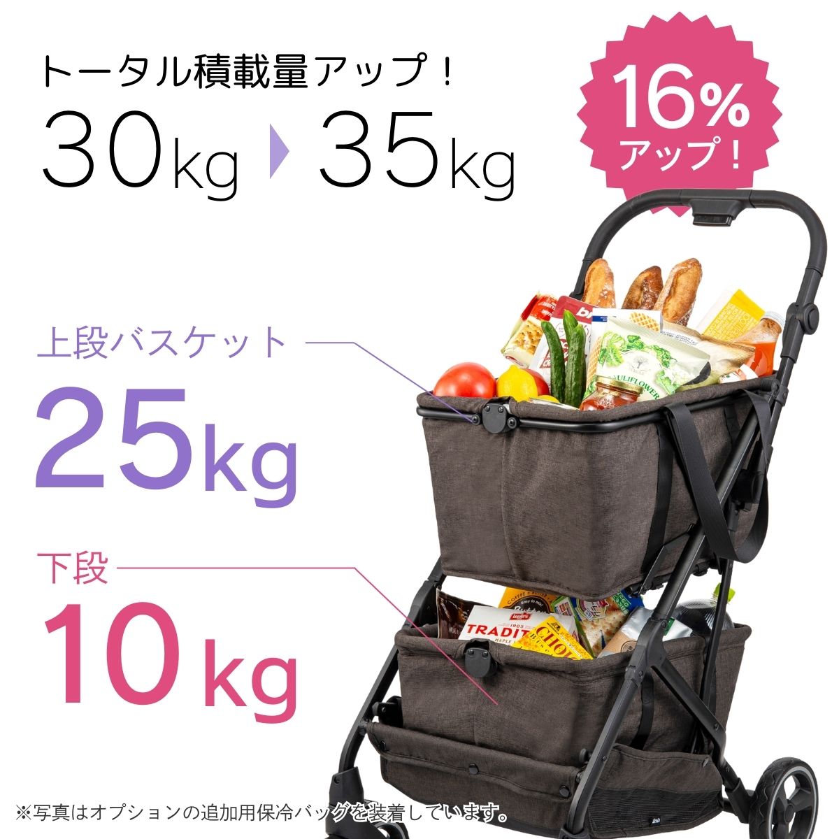 通常価格】Ecoca Excella エコカ エクセラ（本体＋保冷バッグ
