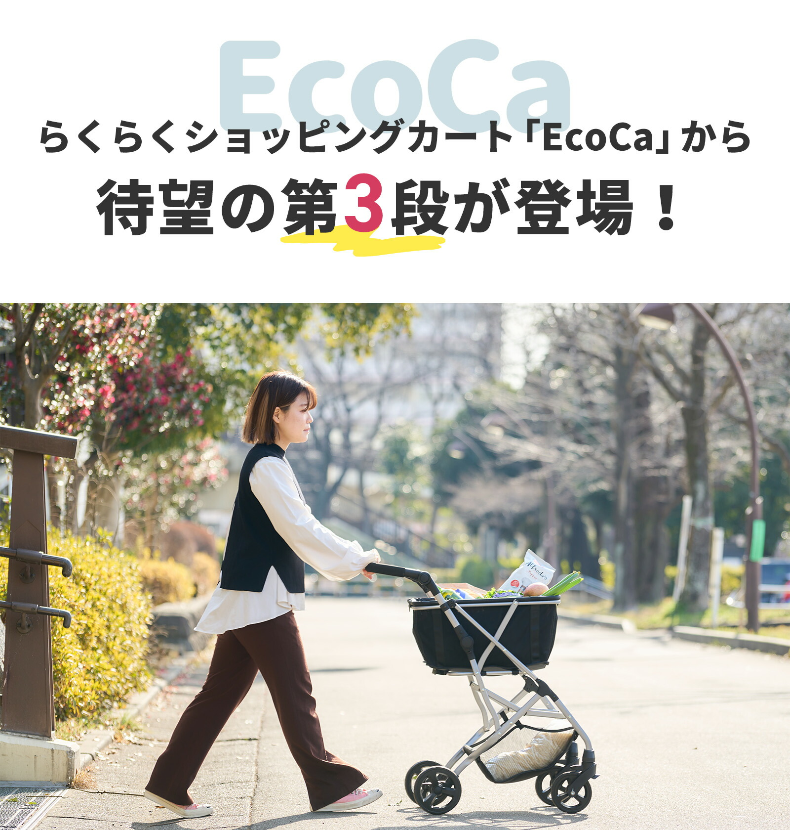 楽天市場】＼P4倍！20日22時～／ 【超お得3点セット】高さ調節可能