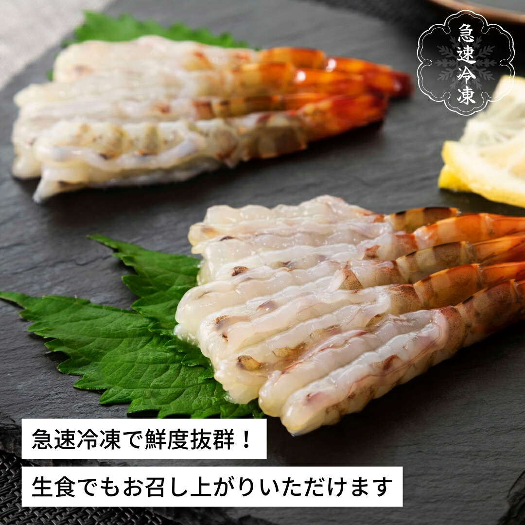 楽天市場】【ふるさと納税】活〆還元車えび（急速冷凍・500g