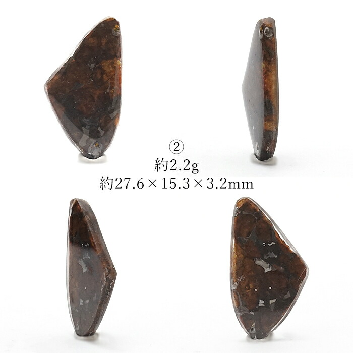 一点物】 セリコ隕石 ケニア産 パラサイト Serico meteorite Parasite