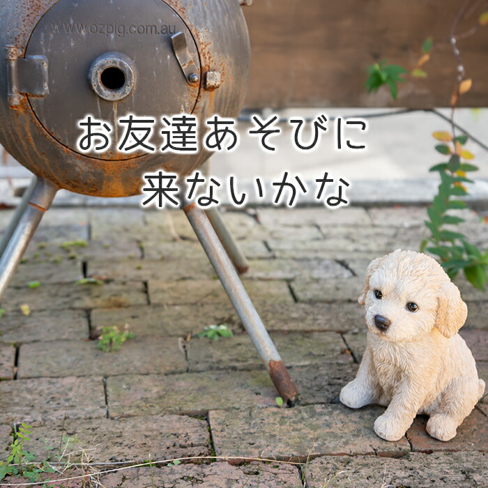 楽天市場】ちょこんと座るわんこ《仔犬 プードル (19.8cm)》〔 WOOBIA