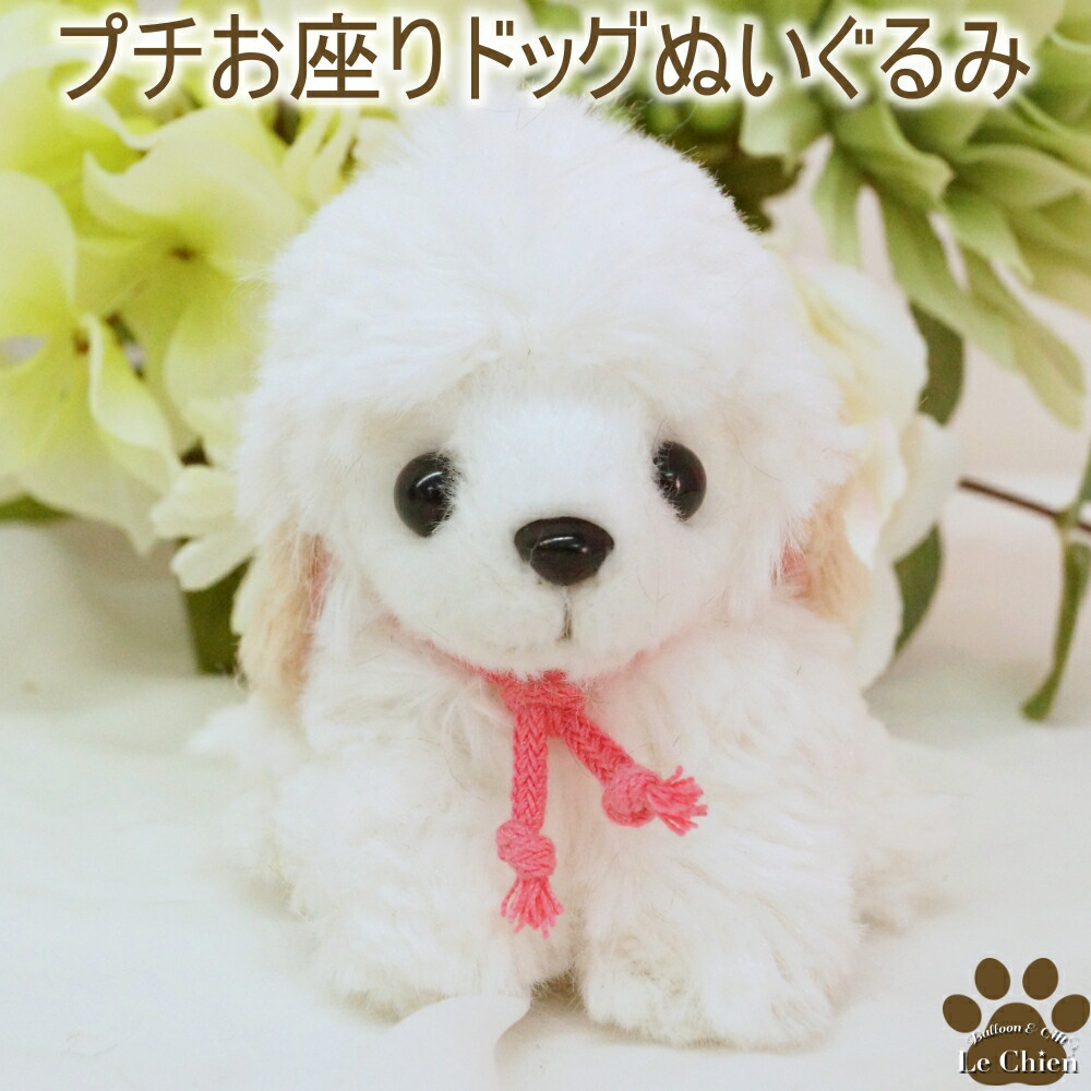 楽天市場】ぬいぐるみ 犬 白 プードル おしゃれ 小さい プチお座り