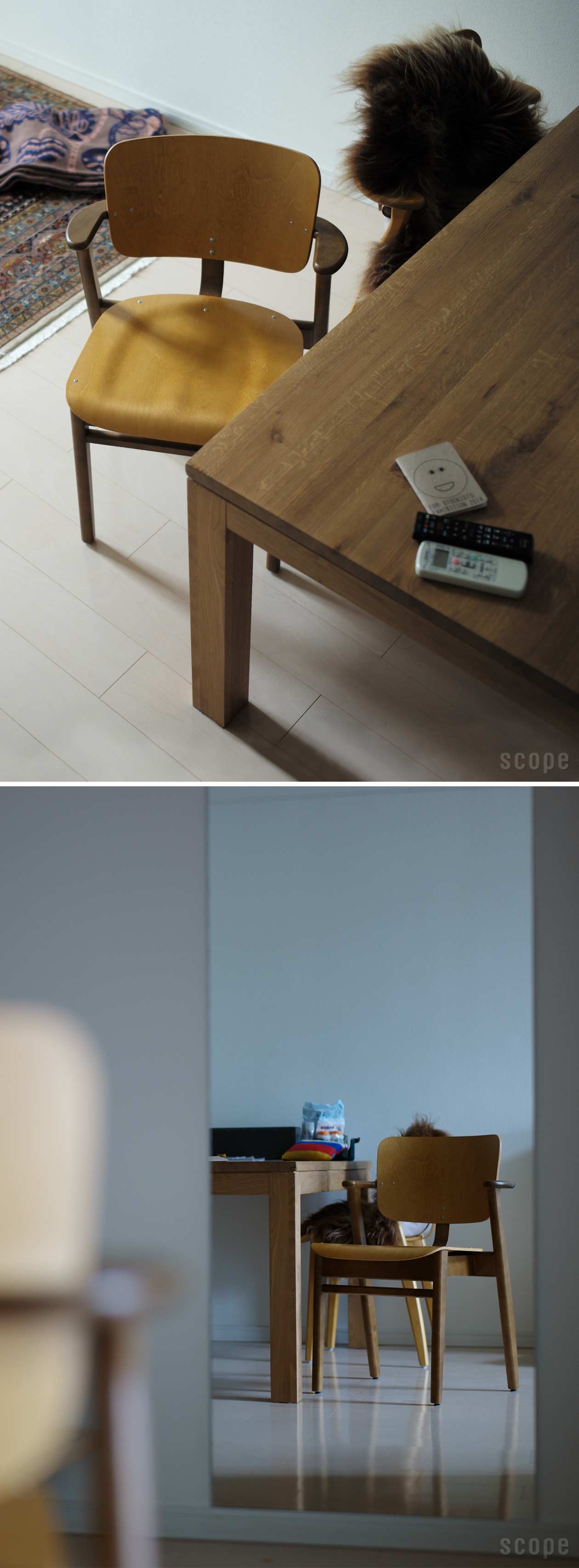 artek　ドムスチェア　ハニー×ウォルナット　　スコープ別注　2cm脚カット artek ドムスチェア ハニー×ウォルナット スコープ別注 2cm脚カット