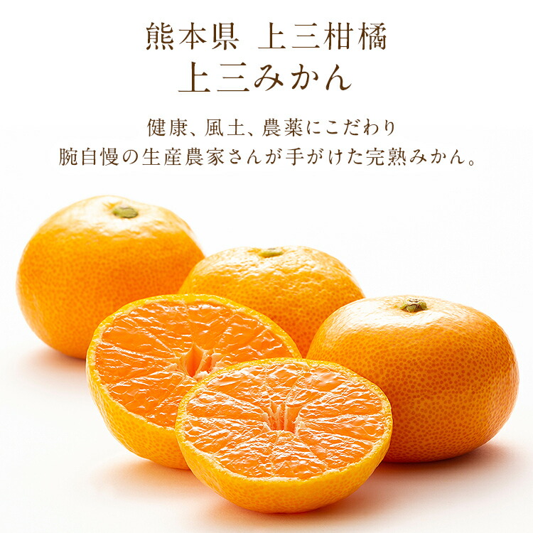 みかん 2.5kg 熊本県産 小玉みかん 小粒 秀 上三みかん 完熟 熊本