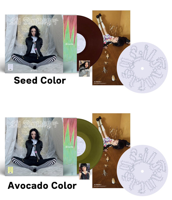 楽天市場】TWICE CHAEYOUNG Vinyl Ver. [ LIL FANTASY vol.1 ] 2種選択