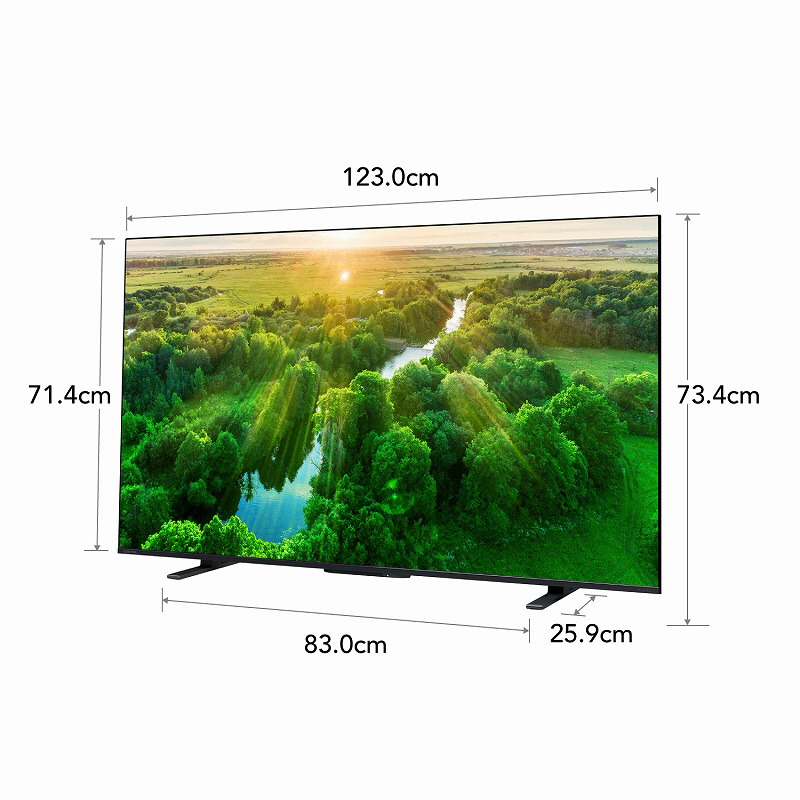 液晶テレビ REGZA(レグザ) 55Z570L ［55V型 /Bluetooth対応 /4K対応