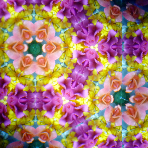 所さん お届けモノです！]テレイドスコープ・クリスタル／スノー：細野