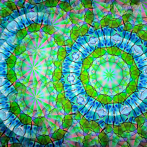 万華鏡：オイル&ドライ] 虹彩華 /kosaika：佐藤元洋[送料無料]