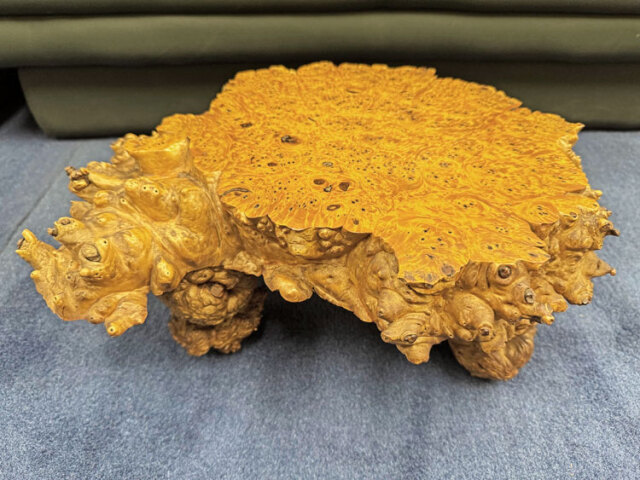 天然木 瘤（こぶ） 飾り台 花台 盆栽台 アウトレット 展示品 【商品