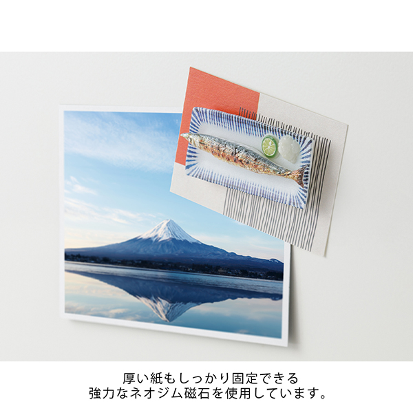 マグネット｜ミニチュアマグネット 1個入 さんま柄(43412006)｜ミドリ