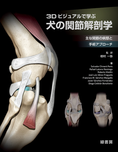 整形外科 株式会社 緑書房
