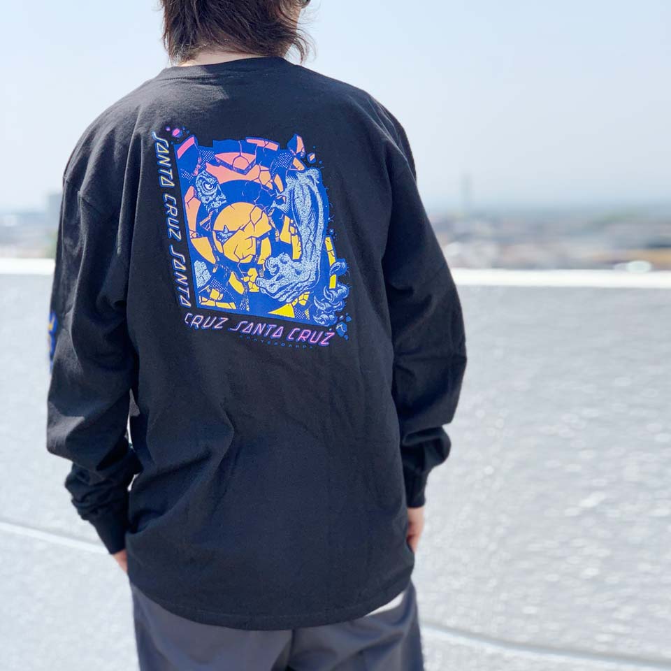 SANTACRUZ / ROSKOPP BREAK L/S Tee