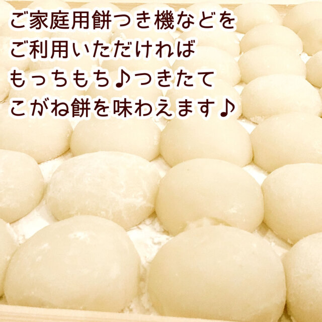 令和7年産 新潟県産こがねもち米 25kg