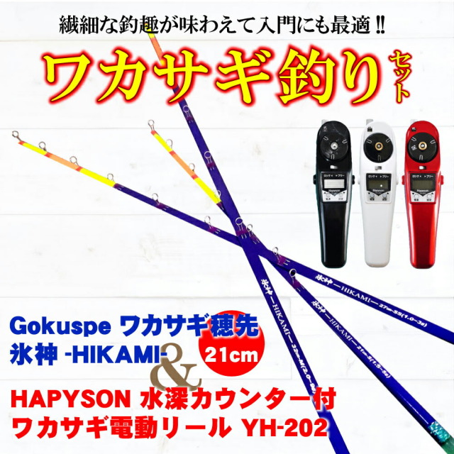 ゴクスペ ワカサギ替え穂先 氷神21cm 1本 ＆ ハピソン水深カウンター付