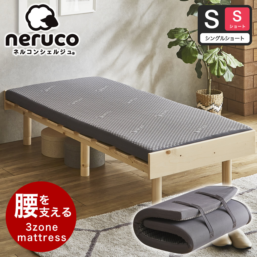 14013650.jpg?t=20241219143259