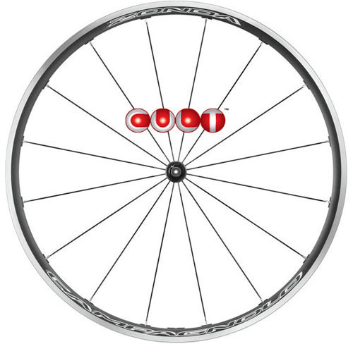 CAMPAGNOLO 2025 ZONDA C17 WO CULT SHIMANO HG カンパニョーロ ゾンダ