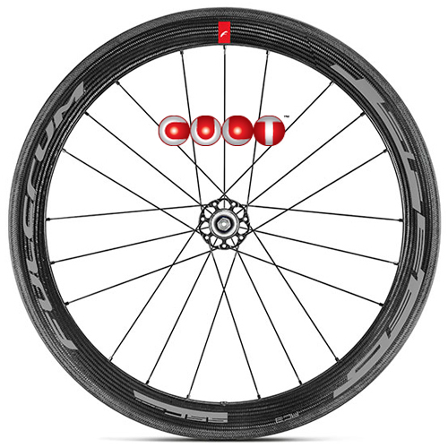 FULCRUM 2024 SPEED 55C CULT BEARING SPECIAL WHEEL フルクラム