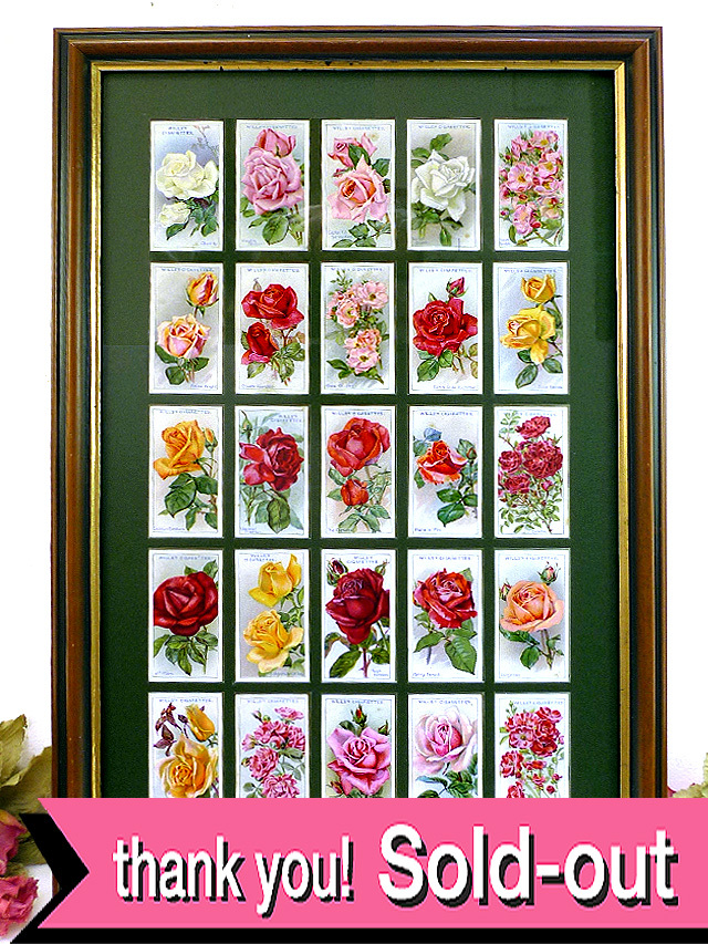 ドリプレSHOP】イギリス（英国）アンティーク雑貨。WILLSの